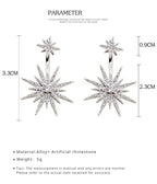 FN 925 Silver Needle Five-Pointed Star Earrings Ear Clips LOJS129